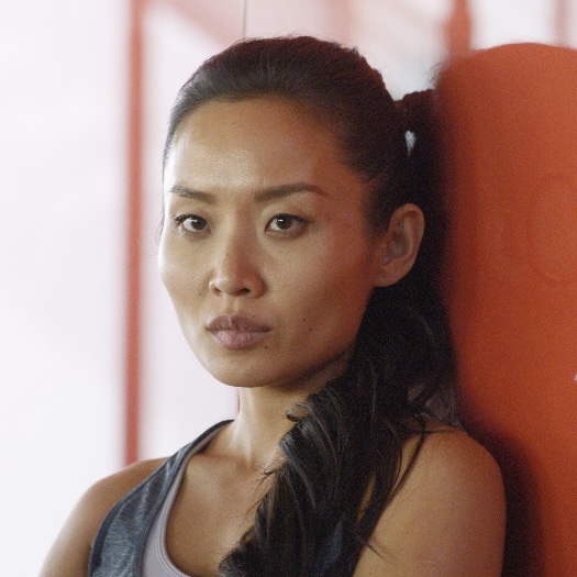 Li Jun Li